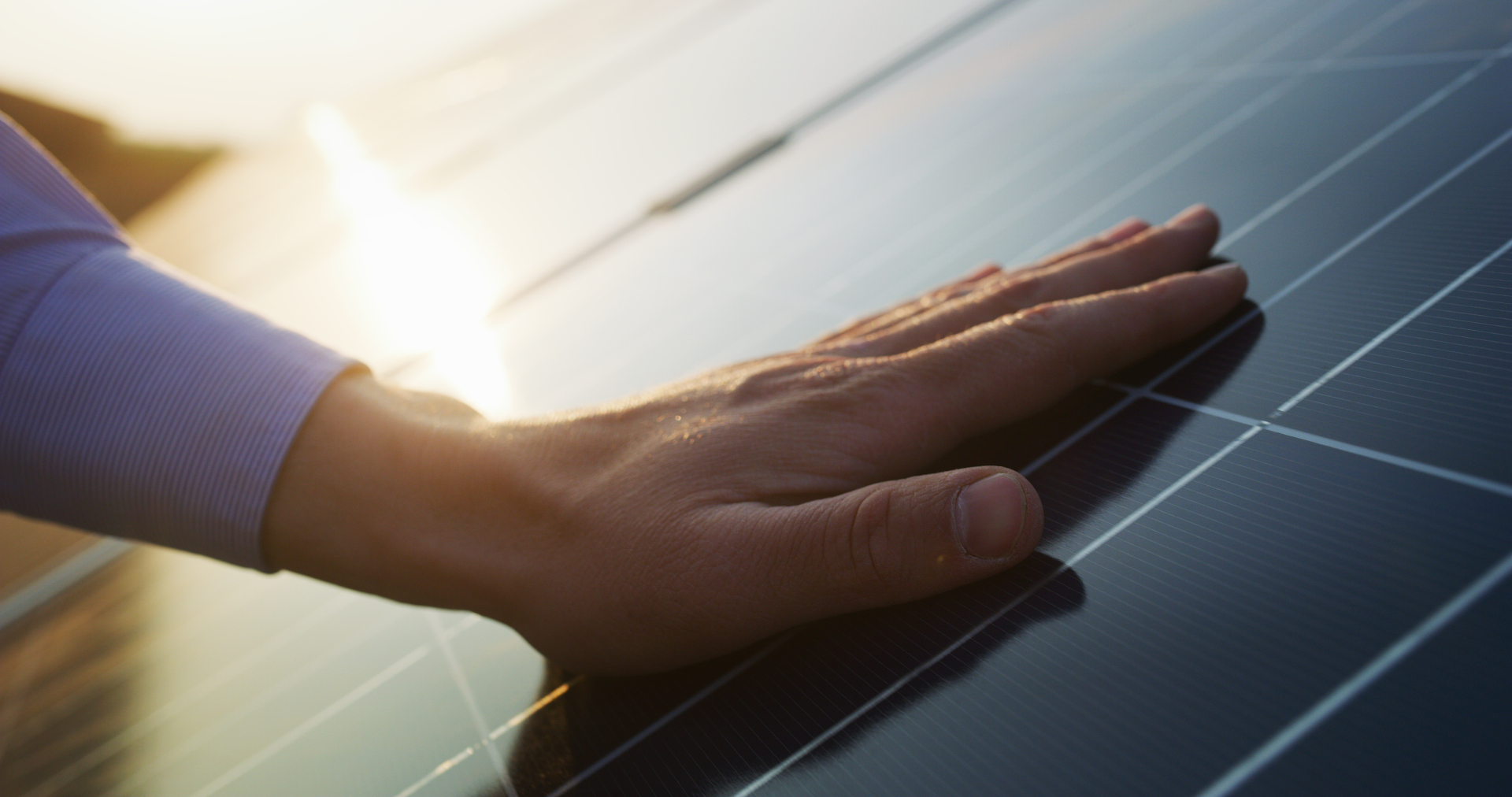 What Does the Future of the Solar Energy Industry Look Like?