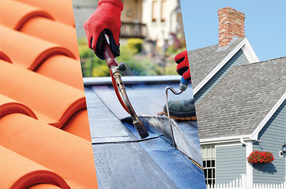 roof triptych v2